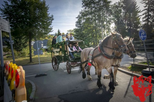 Wiesn_2018